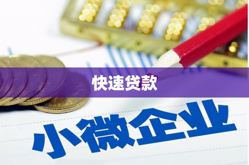 保定快速贷款