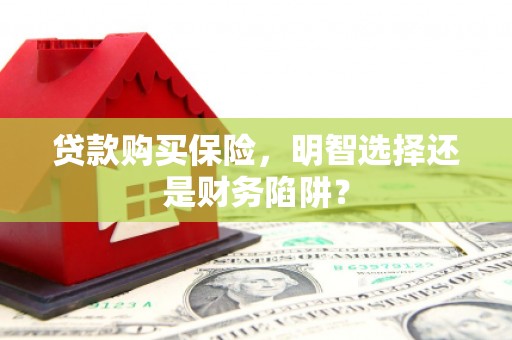 保定贷款购买保险，明智选择还是财务陷阱？