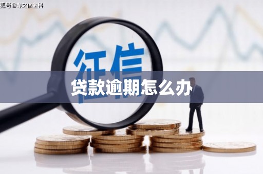 保定贷款逾期怎么办