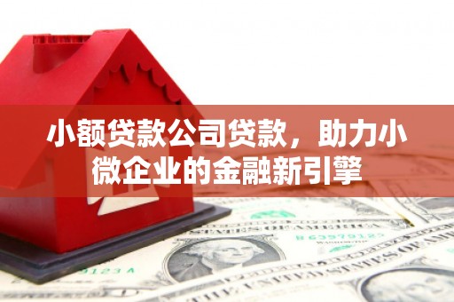 保定小额贷款公司贷款，助力小微企业的金融新引擎