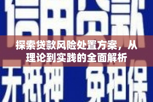 保定探索贷款风险处置方案，从理论到实践的全面解析
