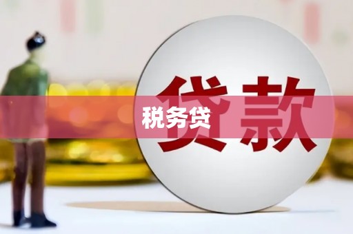 保定税务贷