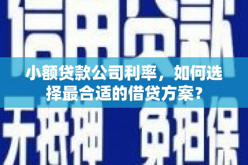 保定小额贷款公司利率，如何选择最合适的借贷方案？