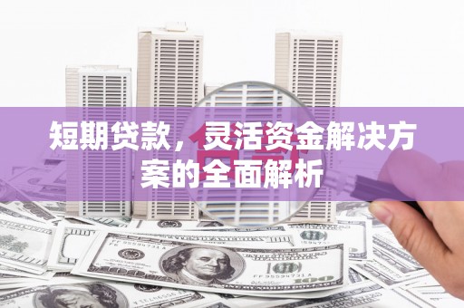 保定短期贷款，灵活资金解决方案的全面解析