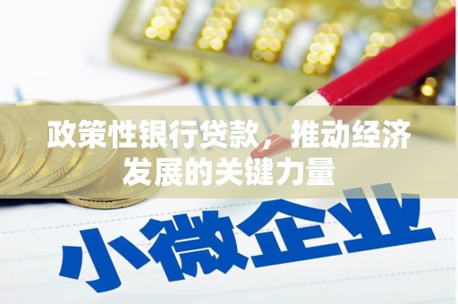 保定政策性银行贷款，推动经济发展的关键力量