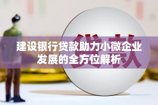 保定建设银行贷款助力小微企业发展的全方位解析