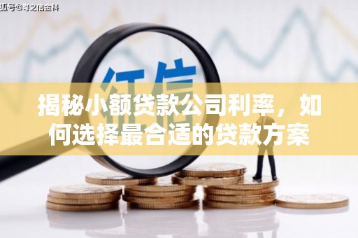 保定揭秘小额贷款公司利率，如何选择最合适的贷款方案