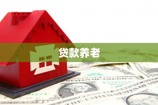 保定贷款养老