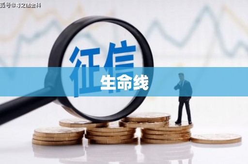 保定生命线