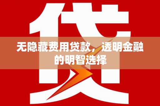 保定无隐藏费用贷款，透明金融的明智选择