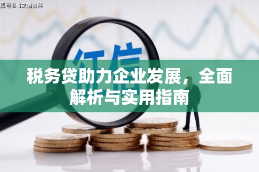 保定税务贷助力企业发展，全面解析与实用指南