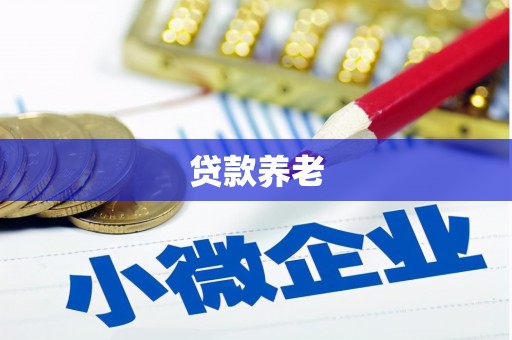 保定贷款养老