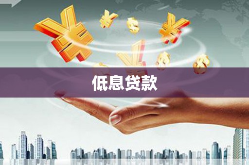 保定低息贷款
