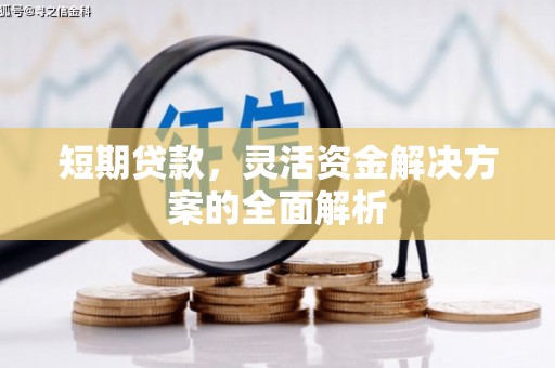 保定短期贷款，灵活资金解决方案的全面解析