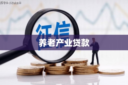 保定养老产业贷款