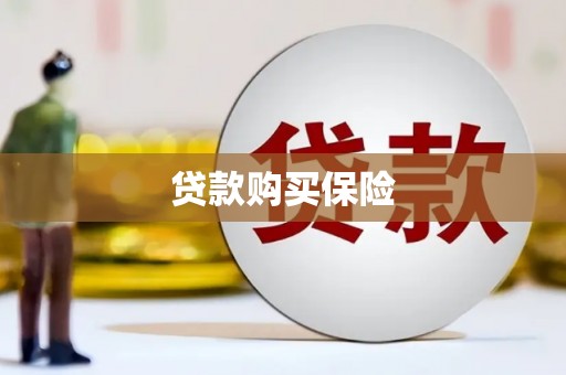 保定贷款购买保险
