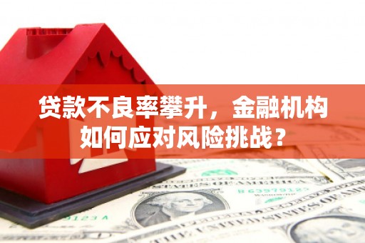 保定贷款不良率攀升，金融机构如何应对风险挑战？