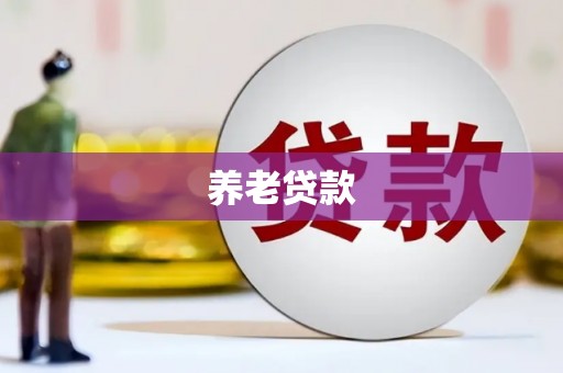 保定养老贷款
