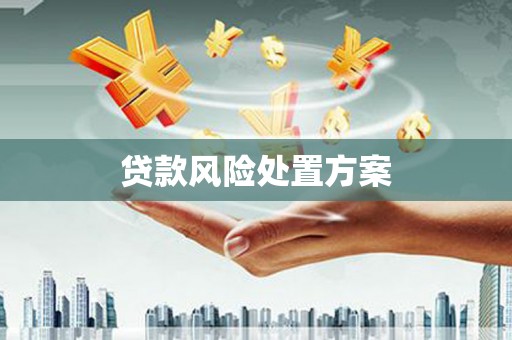 保定贷款风险处置方案