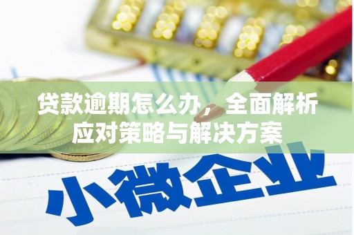 保定贷款逾期怎么办，全面解析应对策略与解决方案
