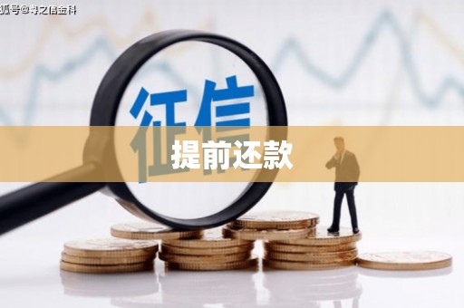 保定提前还款