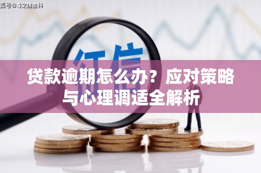 保定贷款逾期怎么办？应对策略与心理调适全解析