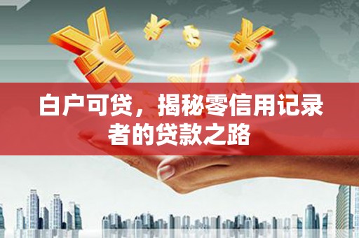 保定白户可贷，揭秘零信用记录者的贷款之路