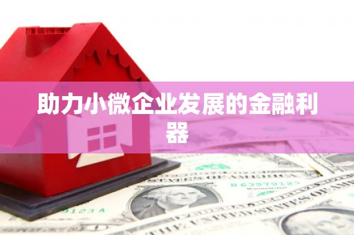 保定助力小微企业发展的金融利器