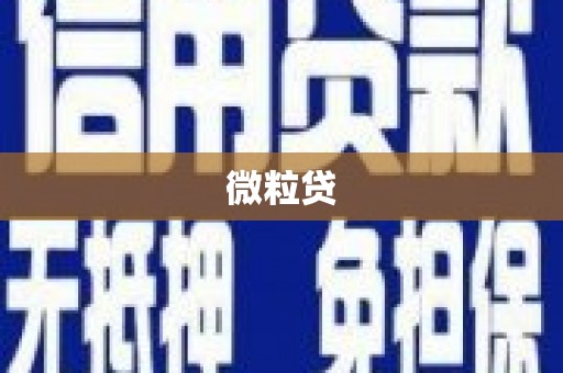 保定微粒贷