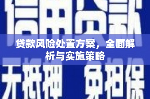 保定贷款风险处置方案，全面解析与实施策略