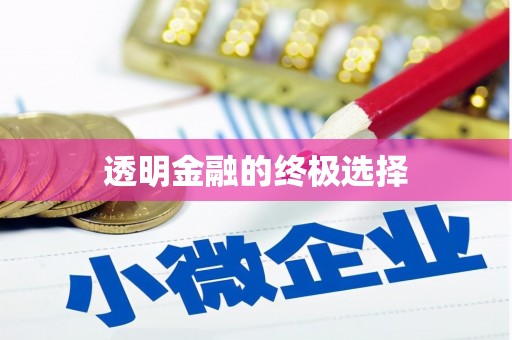 保定透明金融的终极选择
