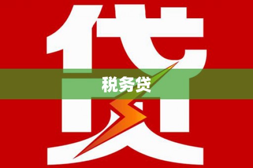 保定税务贷