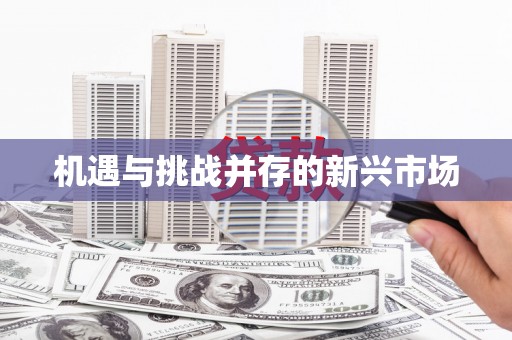 保定机遇与挑战并存的新兴市场