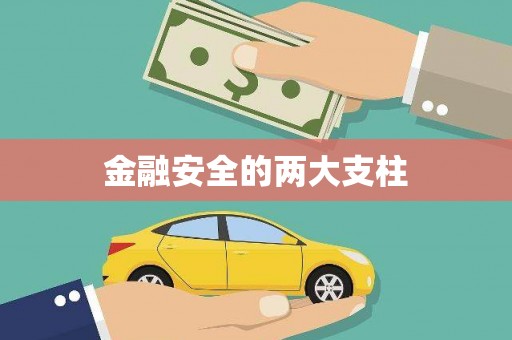 保定金融安全的两大支柱