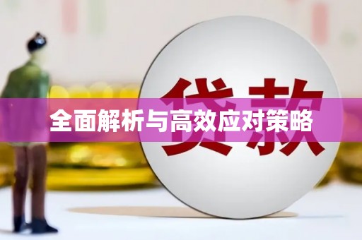 保定全面解析与高效应对策略