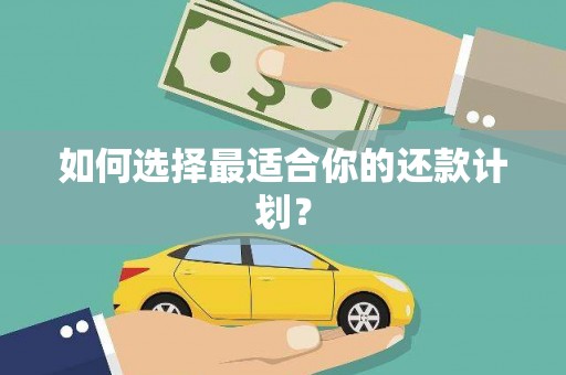 保定如何选择最适合你的还款计划？