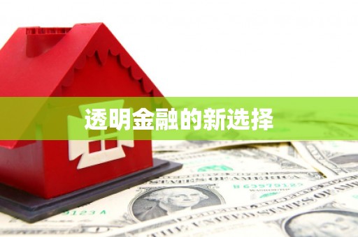 保定透明金融的新选择