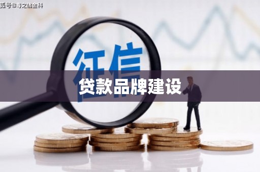保定贷款品牌建设