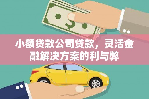 保定小额贷款公司贷款，灵活金融解决方案的利与弊