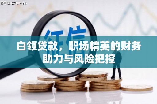 保定白领贷款，职场精英的财务助力与风险把控